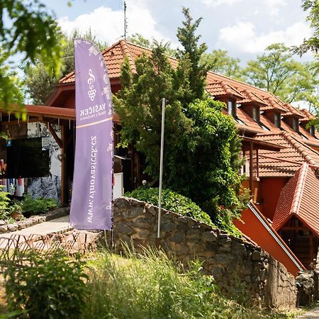 Penzion Nechorka Prusanky Ngoại thất bức ảnh